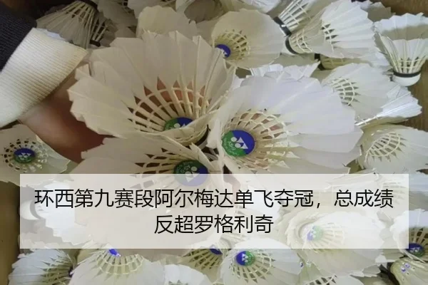 huan-xi-di-jiu-sai-duan-a-er-mei-da-dan-fei-duo-guan-zong-cheng-ji-fan-chao-luo-ge-li-qi-3-724.jpg